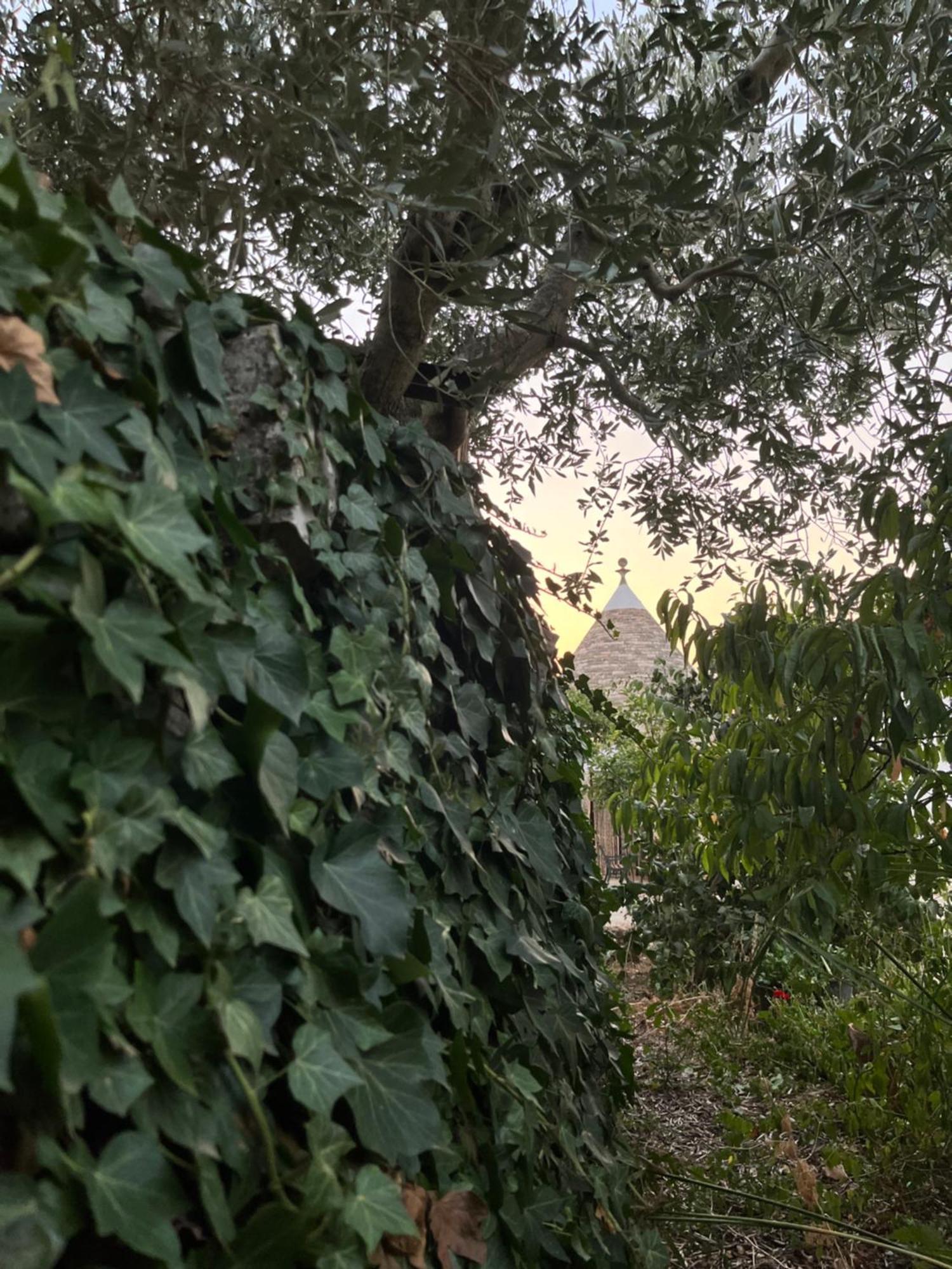Borgo Miceli Da Giovanni 로코로톤도 외부 사진