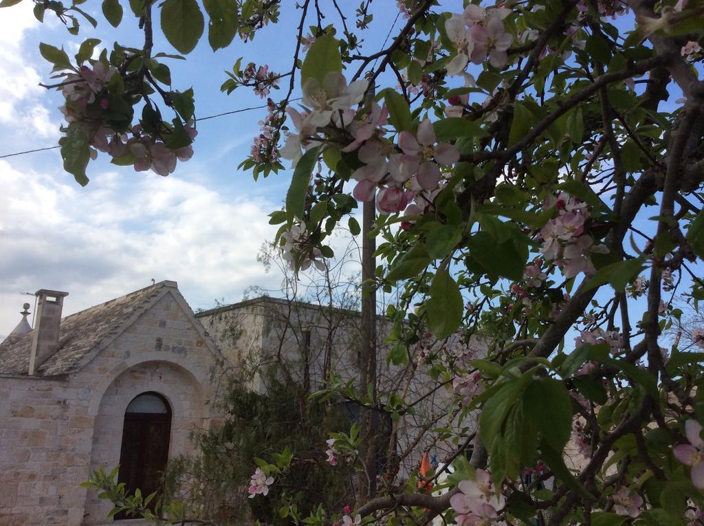 Borgo Miceli Da Giovanni 로코로톤도 외부 사진